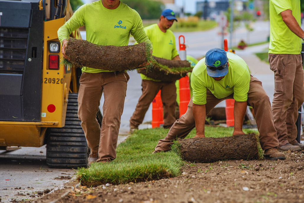 What Is Landscaping In Construction? AlSyed Construction