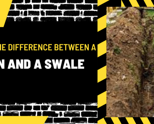 What is the Difference Between a Drain and a Swale