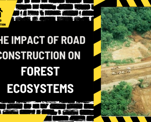 The Impact of Road Construction on Forest Ecosystems