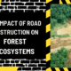 The Impact of Road Construction on Forest Ecosystems