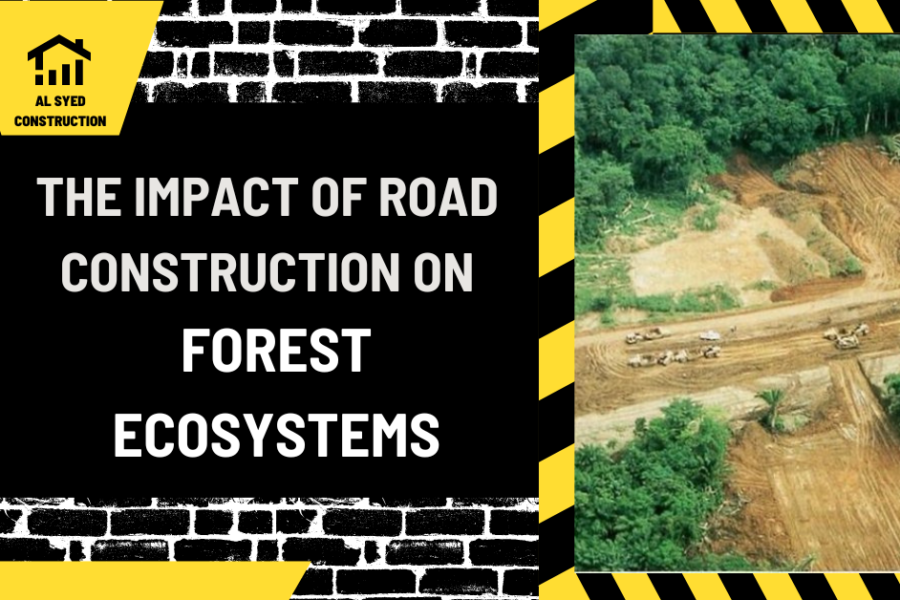 The Impact of Road Construction on Forest Ecosystems