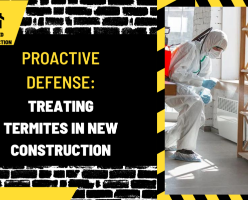 Proactive Defense: Treating Termites in New Construction