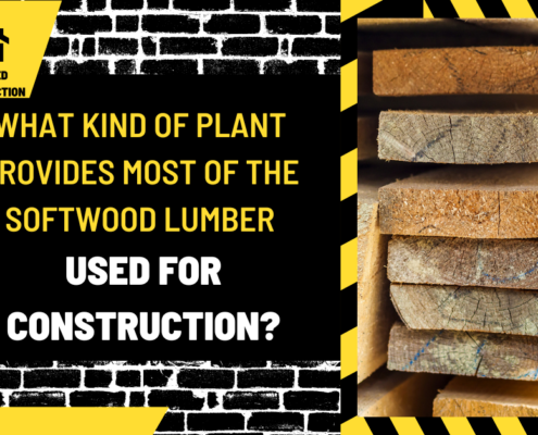 What Kind of Plant Provides Most of the Softwood Lumber Used for Construction