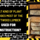 What Kind of Plant Provides Most of the Softwood Lumber Used for Construction