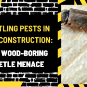 Battling Pests in New Construction: The Wood-Boring Beetle Menace