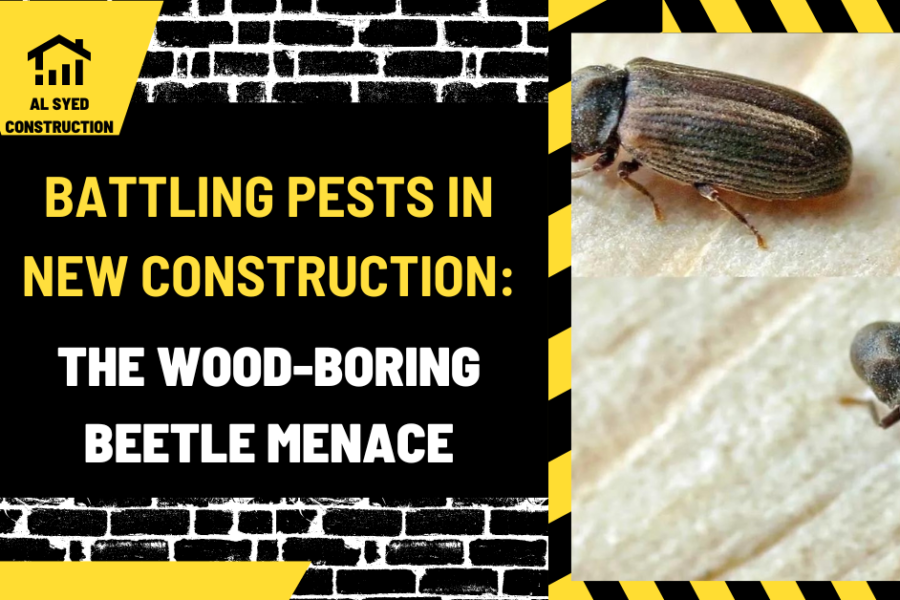 Battling Pests in New Construction: The Wood-Boring Beetle Menace