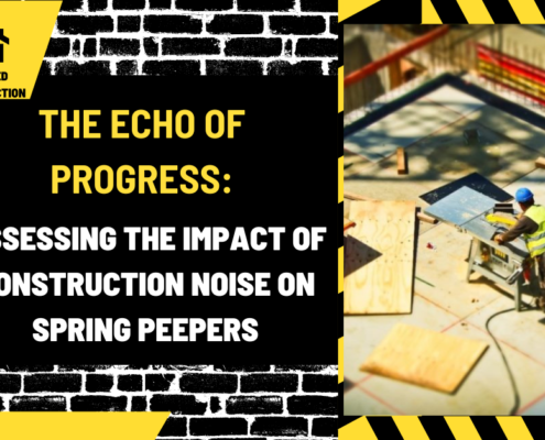 The Echo of Progress: Assessing the Impact of Construction Noise on Spring Peepers