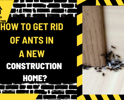 How to Get Rid of Ants in a New Construction Home