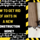 How to Get Rid of Ants in a New Construction Home