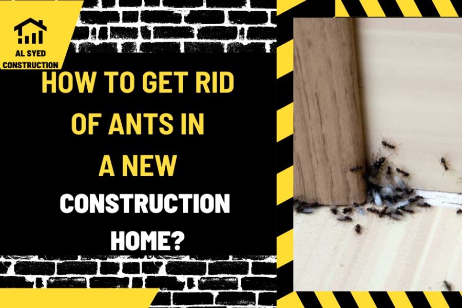 How to Get Rid of Ants in a New Construction Home