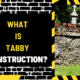 What is Tabby Construction