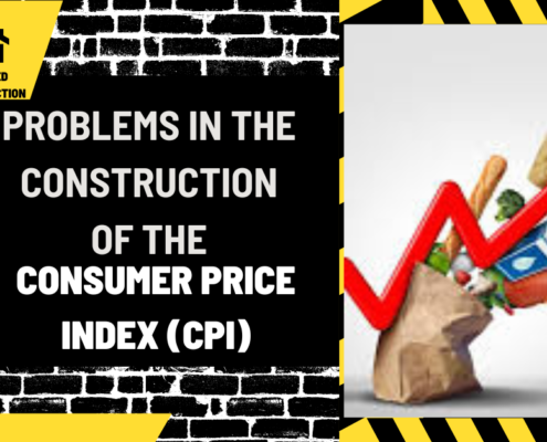 Problems in the Construction of the Consumer Price Index (CPI)