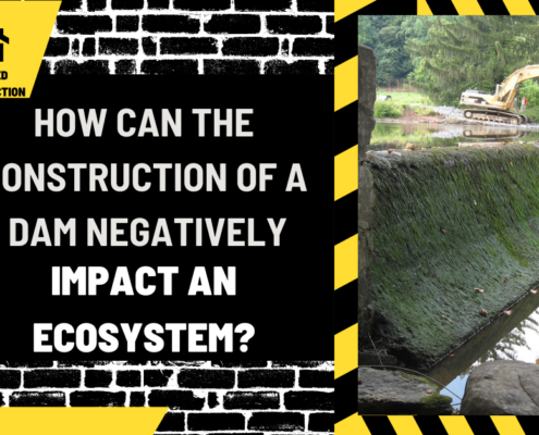 How Can the Construction of a Dam Negatively Impact an Ecosystem