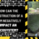 How Can the Construction of a Dam Negatively Impact an Ecosystem