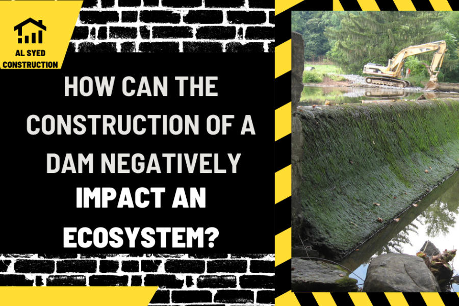 How Can the Construction of a Dam Negatively Impact an Ecosystem