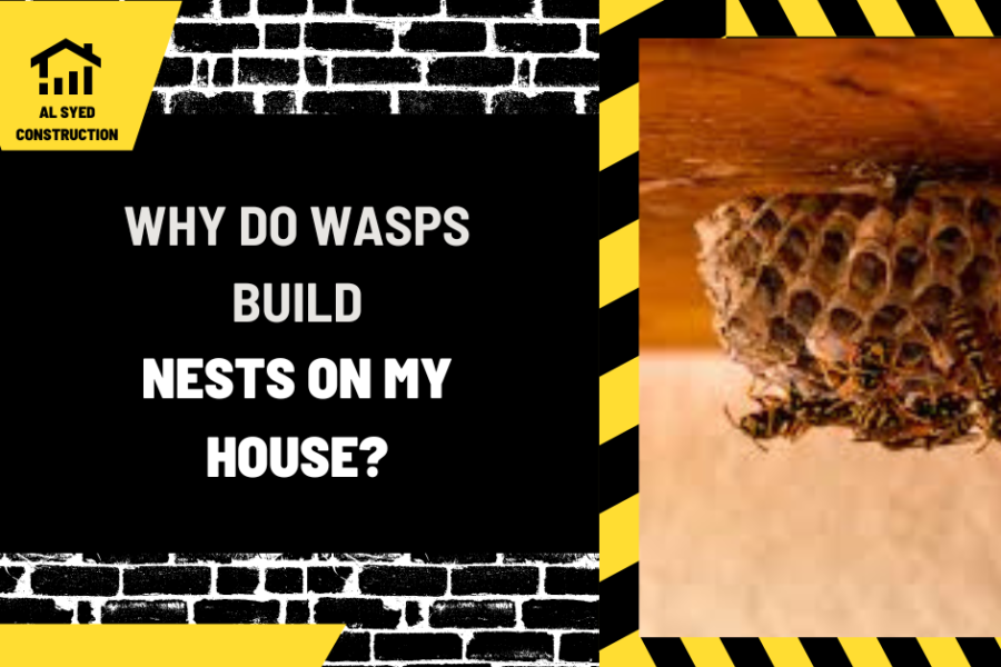 Why Do Wasps Build Nests on My House