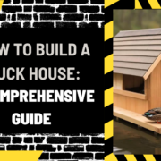 How to Build a Duck House: A Comprehensive Guide