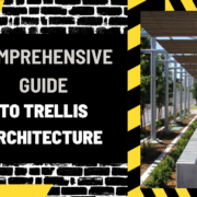Comprehensive Guide to Trellis Architecture