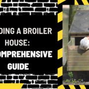 Building a Broiler House: A Comprehensive Guide