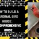 How to Build a Cardinal Bird House: A Comprehensive Guide