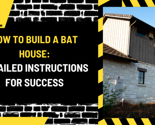 How to Build a Bat House: Detailed Instructions for Success