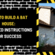 How to Build a Bat House: Detailed Instructions for Success