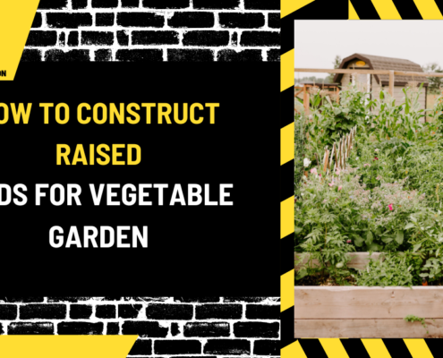 How to Construct Raised Beds for Vegetable Garden: A Comprehensive Guide