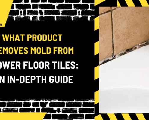 What Product Removes Mold from Shower Floor Tiles: An In-Depth Guide