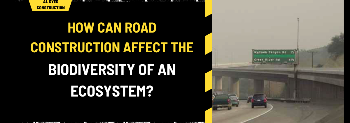 How Can Road Construction Affect the Biodiversity of an Ecosystem