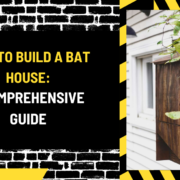 How to Build a Bat House: A Comprehensive Guide