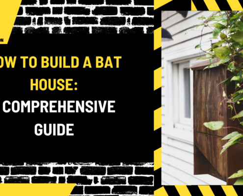 How to Build a Bat House: A Comprehensive Guide