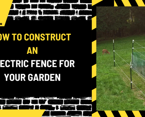 How to Construct an Electric Fence for Your Garden