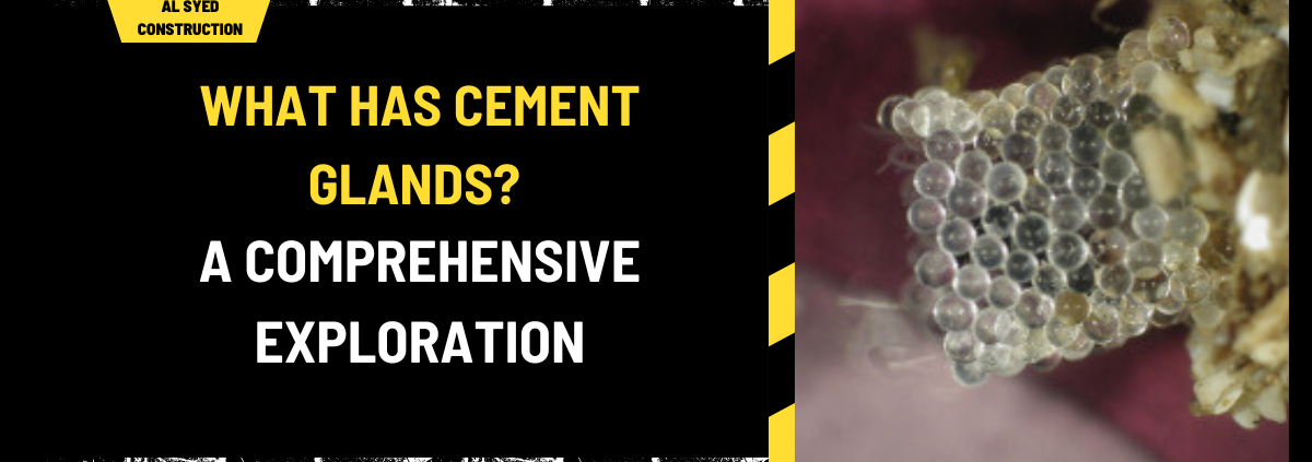 What Has Cement Glands? A Comprehensive Exploration