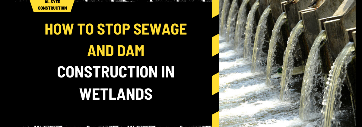 How to Stop Sewage and Dam Construction in Wetlands