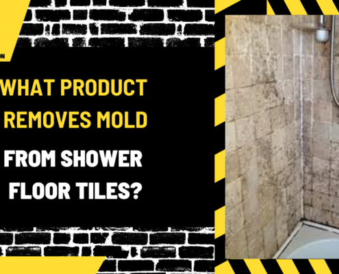 What Product Removes Mold from Shower Floor Tiles