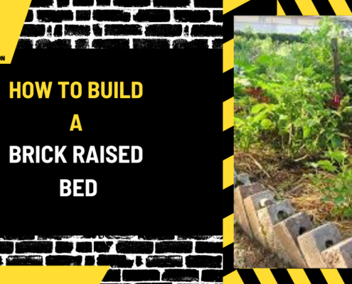 How to Build a Brick Raised Bed: A Comprehensive Guide