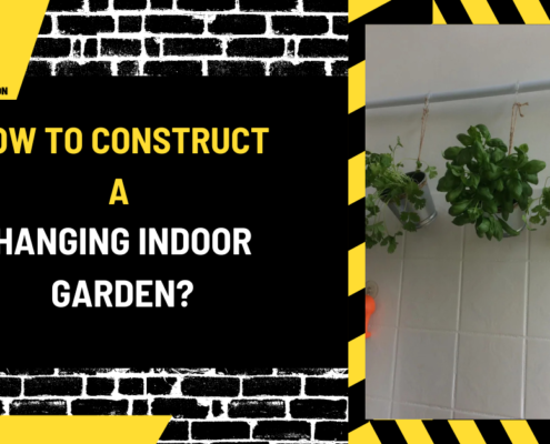 How to Construct a Hanging Indoor Garden