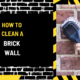 How to Clean a Brick Wall: The Ultimate Guide