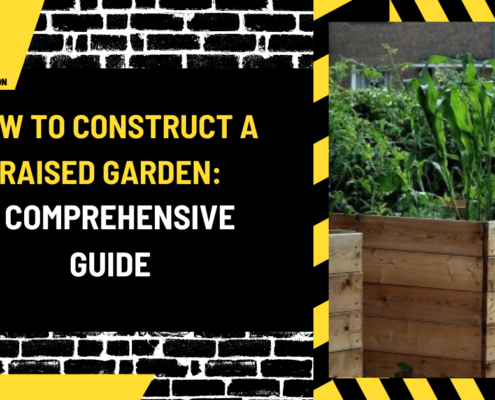 How to Construct a Raised Garden: A Comprehensive Guide