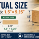 2x10 actual size showing nominal 2 by 10 lumber and actual 1.5 by 9.25 inch dimensions