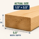 2x6 actual size showing 1.5 inch thickness and 5.5 inch width
