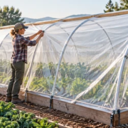 Gardener covers a curved hoop-house frame with greenhouse film over planted crop rows.