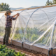 Gardener covers a curved hoop-house frame with greenhouse film over planted crop rows.