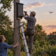 Carpenter mounts a wooden bat house high above a garden to provide safe roosting space.