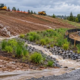A site engineer checks runoff moving from a graded construction slope through a vegetated swale and silt fence into a sediment basin.