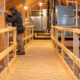 A technician checks a supported, guardrailed attic catwalk leading to HVAC equipment in a timber-framed home.