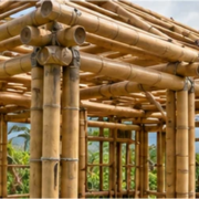 Builders assemble a bamboo house frame with strong bamboo columns and beams joined across the roof and walls.