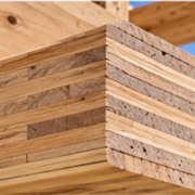 Layered veneer plies are visible at the cut end of an engineered laminated veneer lumber beam within a wood-framed building.